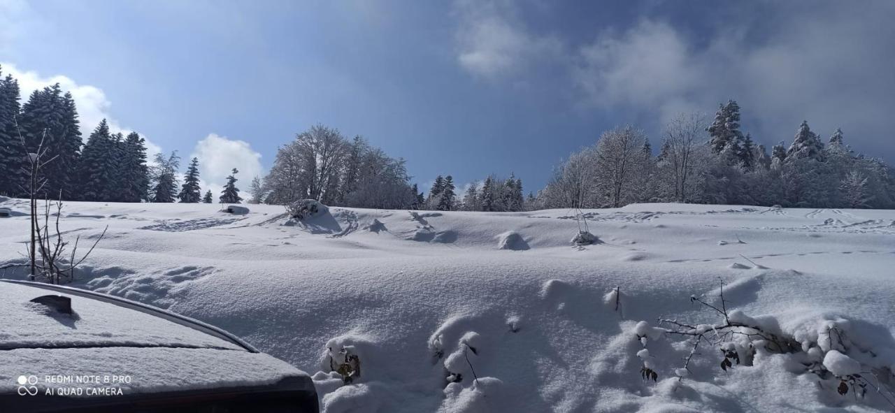 Chata Z Widokiem Na Babia Gore Pewel Wielka エクステリア 写真